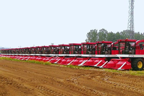 中国农机院多款产品入选农业农村部先进适用畜牧养殖机械装备，助力畜牧渔业饲料销售升级