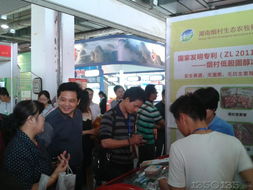 绿叶闪耀第五届中国湖南畜牧渔业暨饲料工业博览会，助推畜牧渔业饲料销售创新升级