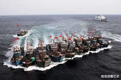 中国渔民从海底捞出5000吨重要宝物，美日竟要求归还