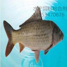 河南省渔业有限责任公司 多元养殖与专业饲料供应的水产先锋