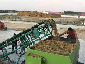 一八二团新型饲料搅拌机助力畜牧业高质量发展