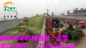 自动化浪潮下的畜牧饲料利器 多功能碎草机与铡草机智造升级趋势解析