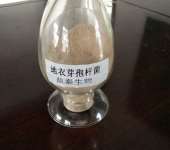 河南畜牧水产动物营养优化 饲料添加剂与饲料销售的战略整合
